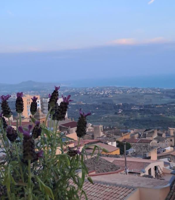 Casuzza Al Duomo Con Vista Valle Dei Templi! Agrigento Exteriér fotografie